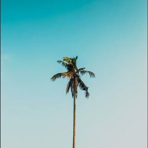 Meet your Posher, Jack